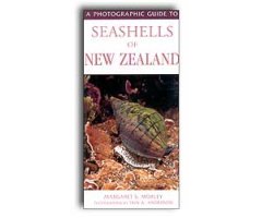 A PHOTOGRAPHIC GUIDE TO SEASHELLS OF NEW ZEALAND                                                                                                      