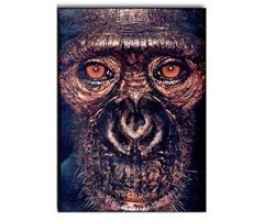 JAMES & OTHER APES
