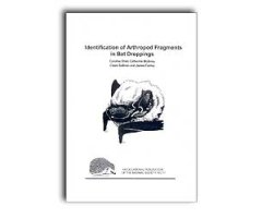 IDENTIFICATION OF ARTHROPOD FRAGMENTS IN BAT DROPPINGS                                                                                                