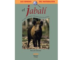 EL JABALÍ