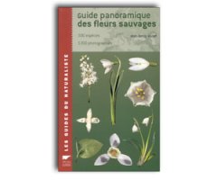 GUIDE PANORAMIQUE DES FLEURS SAUVAGES