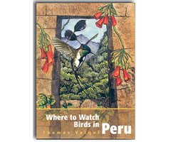 WHERE TO WATCH BIRDS IN PERU
