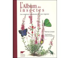 L\'ALBUM DES INSECTES. LES ESPÈCES COMMUNES DE NOS RÉGIONS                                                                                            