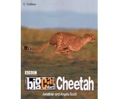 BBC BIG CAT DIARY CHEETAH .