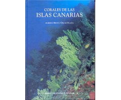 CORALES DE LAS ISLAS CANARIAS. ANTOZOOS CON ESQUELETO DE LOS FONDOS LITORALES Y PROFUNDOS