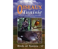 OISEAUX DE TUNISIE/ BIRDS OF TUNISIA