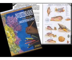CUADERNO COLOREABLE OCÉANO DE INVERTEBRADOS MARINOS DEL MEDITERRÁNEO