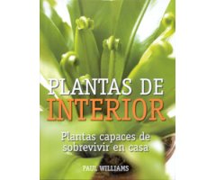 PLANTAS DE INTERIOR. PLANTAS CAPACES DE SOBREVIVIR EN CASA
