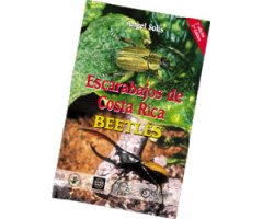 ESCARABAJOS DE COSTA RICA- BEETLES
