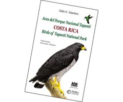 AVES DEL PARQUE NACIONAL TAPANTÍ COSTA RICA- BIRDS OF TAPANTÍ NATIONAL PARK