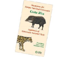 MAMÍFEROS DEL PARQUE NACIONAL CORCOVADO COSTA RICA - MAMMALS OF CORCOVADO NATIONAL PARK
