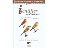 IDENTIFIER LES OISEAUX. COMMENT ÉVITER LES CONFUSIONS