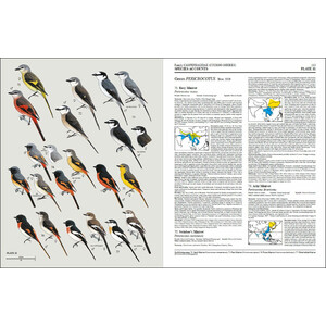 HANDBOOK OF THE BIRDS OF THE WORLD, VOL. 10. CUCKOO-SHRIKES TO THRUSHES_1