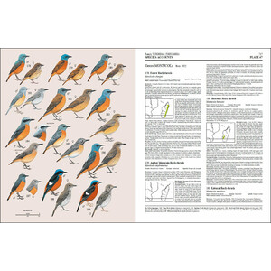 HANDBOOK OF THE BIRDS OF THE WORLD, VOL. 10. CUCKOO-SHRIKES TO THRUSHES 4