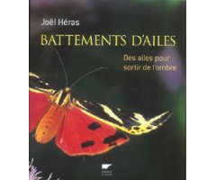 BATTEMENTS D\'AILES. DES AILES POUR SORTIR DE L\'OMBRE