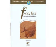 LES FOSSILES EMPREINTES DU VIVANT. TOUTE LA FAUNE ET LA FLORE, MILIEU PAR MILIEU