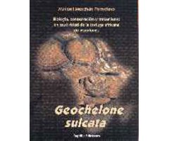 GEOCHELONE SULCATA. BIOLOGÍA, CONSERVACIÓN Y MANTENIMIENTO EN CAUTIVIDAD DE LA TORTUGA AFRICANA DE ESPOLONES
