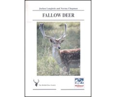 FALLOW DEER
