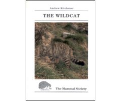 THE WILDCAT