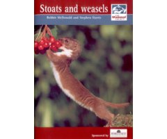STOATS AND WEASELS