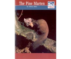 THE PINE MARTEN