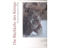 DIE RÜCKKEHR DES KÖNIGS. WISENTE IM POLNISCHEN URWALD