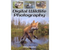 DIGITAL WILDLIFE PHOTOGRAPHY
