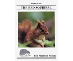 THE RED SQUIRREL