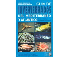 GUÍA DE INVERTEBRADOS DEL MEDITERRÁNEO Y ATLÁNTICO. DESDE ESPAÑA A TURQUÍA DESDE NORUEGA A ECUADOR