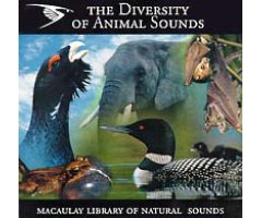 THE DIVERSITY OF ANIMAL SOUNDS   