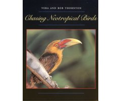 CHASING NEOTROPICAL BIRDS