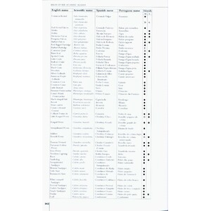 HELM FIELD GUIDES. BIRDS OF THE ATLANTIC ISLANDS. CANARY ISLANDS, MADEIRA, AZORES, CAPE VERDE 4
