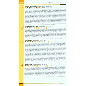 HELM FIELD GUIDES. BIRDS OF SOUTHERN INDIA 3