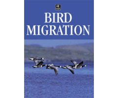 BIRD MIGRATION