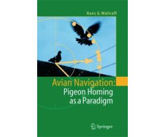 AVIAN NAVIGATION: PIGEON HOMING AS A PARADIGM 