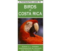 A PHOTOGRAPHIC GUIDE TO BIRDS OF COSTA RICA