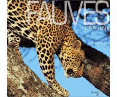 FAUVES D'AFRIQUE