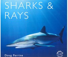 WORLD LIFE LIBRARY. SHARKS & RAYS