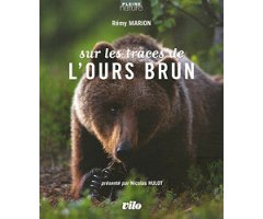 SUR LES TRACES DE L'OURS BRUN