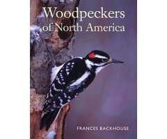 WOODPECKERS OF NORTH AMERICA