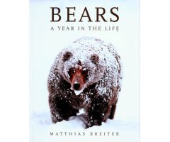 BEARS. A YEAR IN THE LIFE