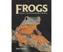 FROGS INSIDE THEIR REMARKABLE WORLD        