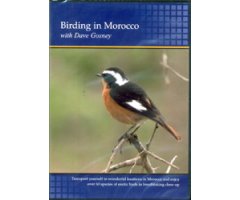 DVD BIRDING IN MOROCCO WITH DAVE GOSNEY