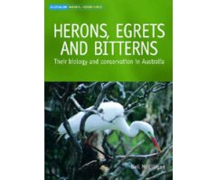 HERONS, EGRETS AND BITTERNS