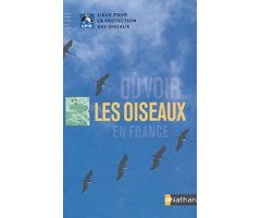 OÙ VOIR LES OISEAUX EN FRANCE