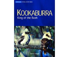 KOOKABURRA: KING OF THE BUSH