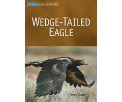 WEDGE-TAILED EAGLE