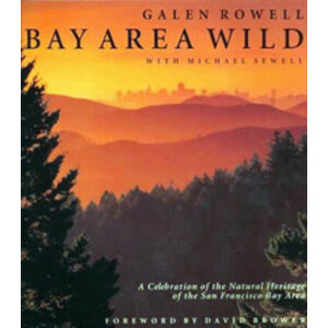 BAY AREA WILD