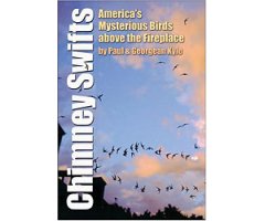 CHIMNEY SWIFTS: AMERICA'S MYSTERIOUS BIRDS ABOVE THE FIREPLACE