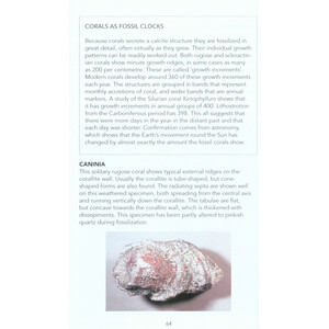 FOSSILS: A PHOTOGRAPHIC FIELD GUIDE_1